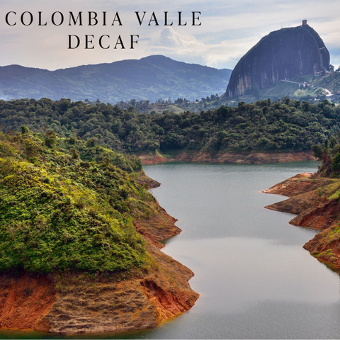 Colombia Valle Decaf