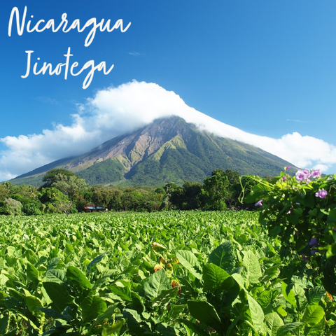 Nicaragua Jinotega