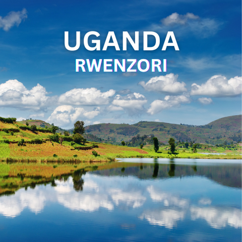 Uganda Rwenzori